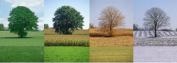 塞尔达风格像素新游《Airoheart》发布PC试玩版